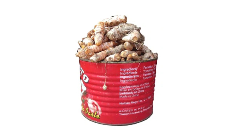 Turmeric Seed (Paint Bucket)