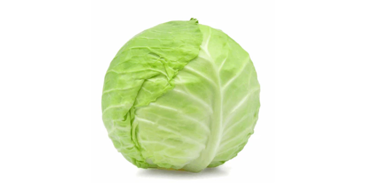 Cabbage - White
