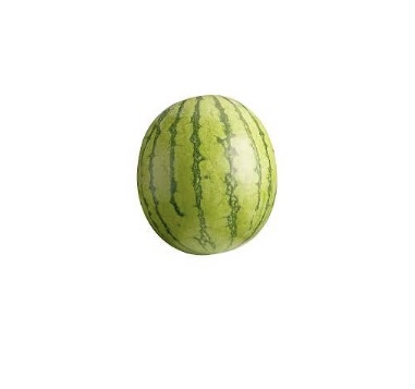 Watermelon - Large