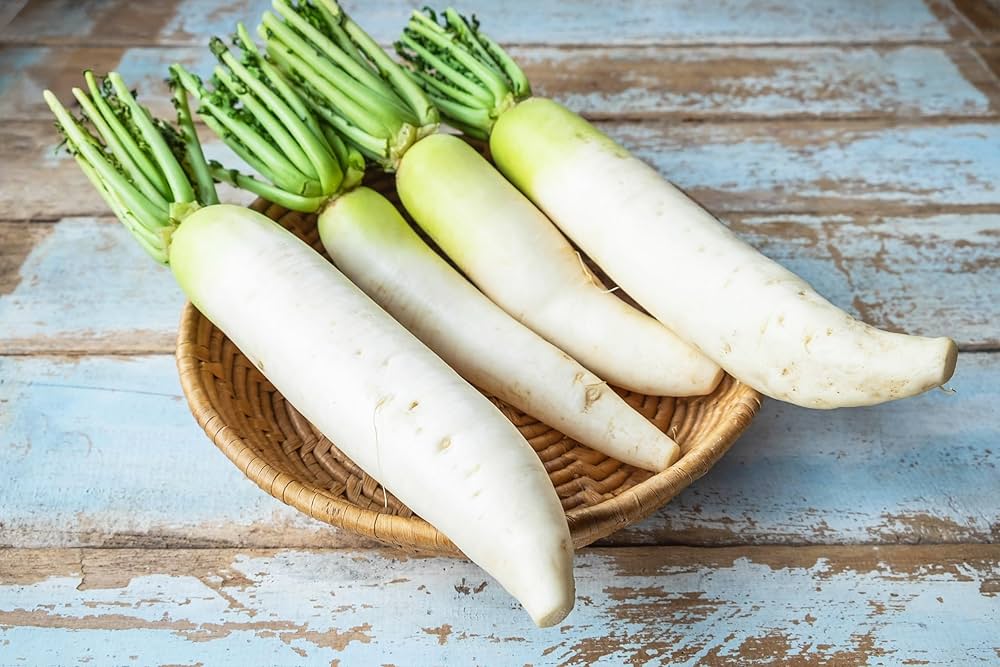 Fresh White Radish 1 pound